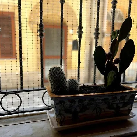 Cubaita Apartment